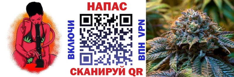 KRAKEN маркетплейс  Дигора  Бошки марихуана Amnesia 
